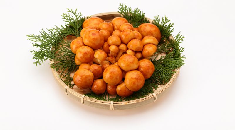 nấm nameko